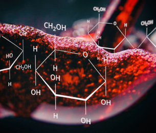 Tìm hiểu về chất tannin trong rượu vang