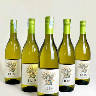 Rượu vang Chile Iris Chardonnay (vang trắng)