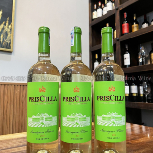 Rượu vang Chile PrisCilla Sauvignon Blanc (vang trắng)