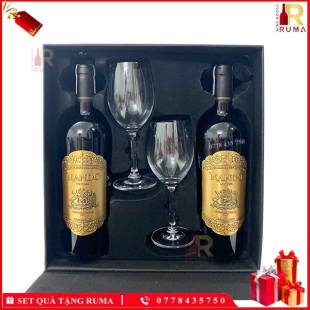 Set quà tặng hộp da 2 chai rượu vang Chile Nando kèm ly vang