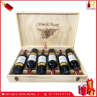 Set quà tặng 6 chai vang Chile Santo Molina