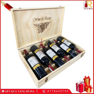 Set quà tặng 6 chai vang Chile Santa Cruz