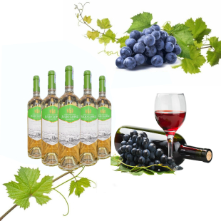 Rượu vang Chile Julio Lopez Sauvignon Blanc (vang trắng)