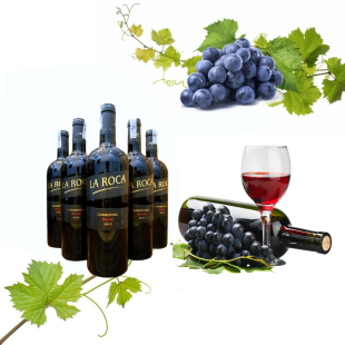 Rượu vang Chile La Roca Reserva