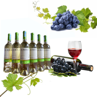 Rượu vang Chile La Roca Sauvignon Blanc (vang trắng)