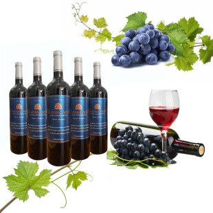 Rượu vang Chile Martin Cortes