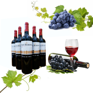 Rượu vang Chile San Marino
