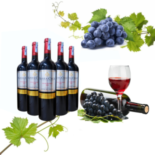 Rượu vang Chile Santa Cruz