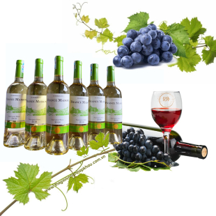 Rượu vang Pháp France Maison Sauvignon Blanc (vang trắng)