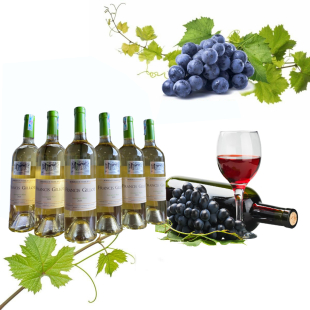 Rượu vang Pháp Francis Gillot Sauvignon Blanc (vang trắng)