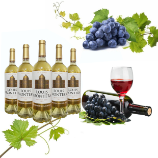 Rượu vang Pháp Louis Frontera Sauvignon Blanc (vang trắng)