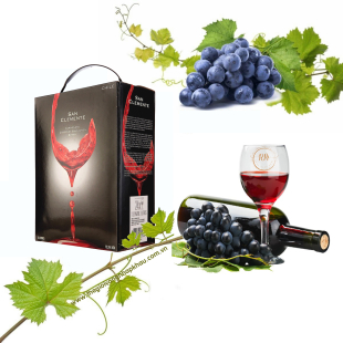 Rượu vang bịch Chile San Clemente 3 lít