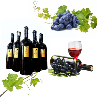 Rượu vang Ý Piero Bonnci (vang chữ P)